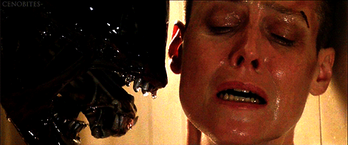 tumblr_mnn9h7Ccmm1rne776o2_r1_500