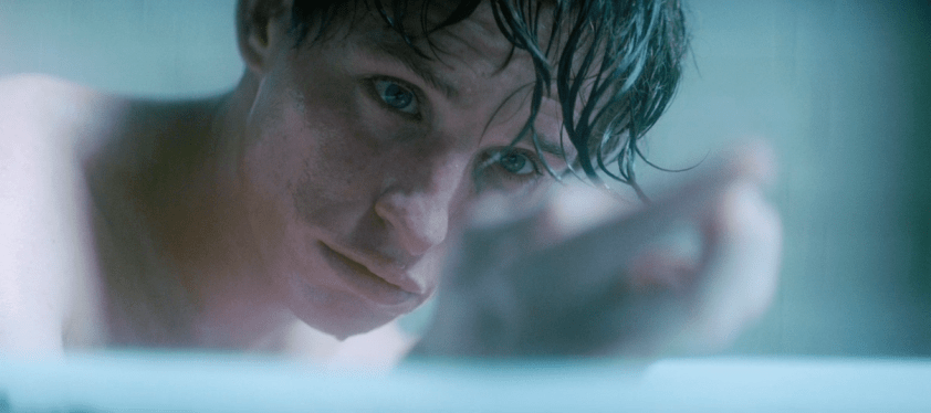 The Theory of Everything