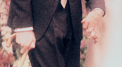 The Theory of Everything Gif 