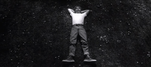 american beauty ending gif