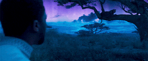 tumblr_p4s4srJ3Jh1wm3rhio1_500