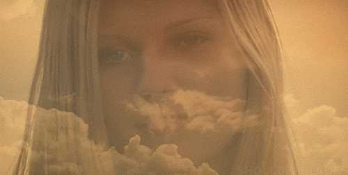 the virgin suicides wink